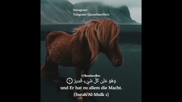 Surah Al Mulk 1 | سورة الملك ١ | QuranfuersHerz تَبَارَكَ الَّذِي بِيَدِهِ الْمُلْكُ