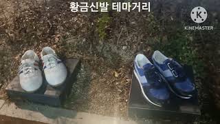 황금신발테마거리 영상