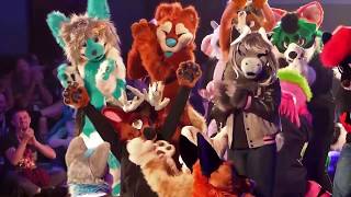 ConFuzzled 2019