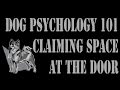 Dog Psychology 101: Claiming Space at the Door Dog Psychology 101: Claiming Space at the Door