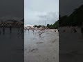 Kenzie Boy Main Pasir Pantai Ancol