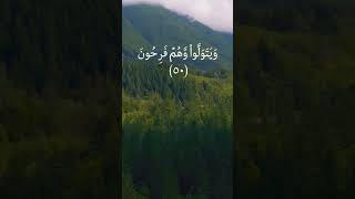 { قل لن يصيبنا الا ماكتب الله لنا }، سورة التوبة القارئ عبدالله الخلف #shorts #quran