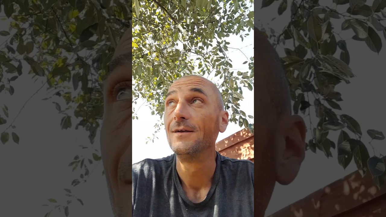 Ой, заплуталася ньюс+ 