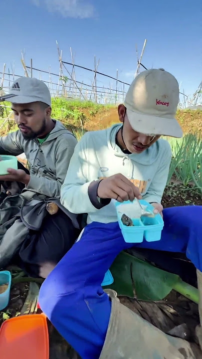 Momen di kebun #reels #viral #fyp #dikebun