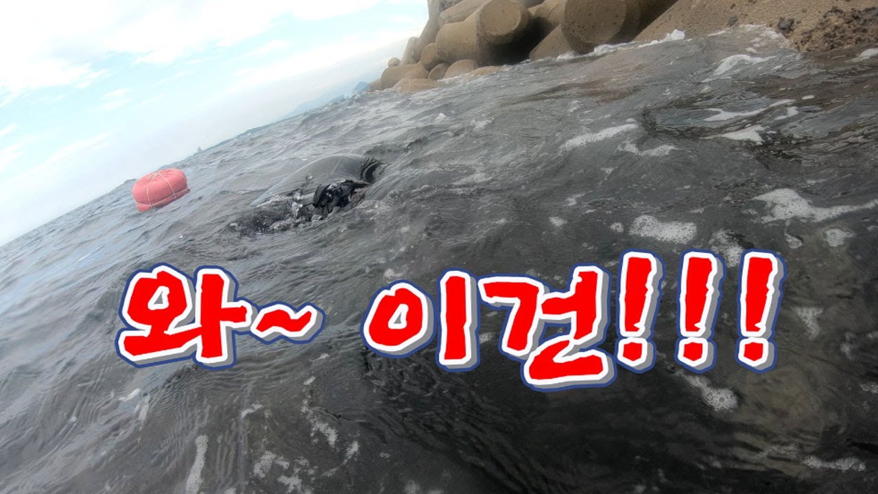 와 ~~  이건 대박이다 !! 현지인들의 최애생물 !!! / Delicious treasure of the sea.