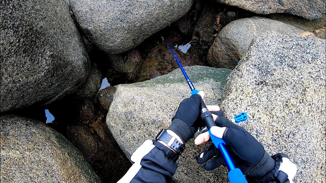 釣れない時は足元の穴にエサを落とす！！すると・・・