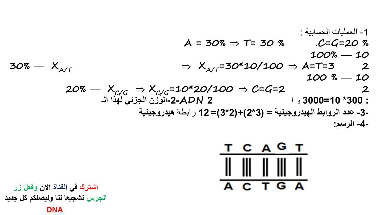 اختبار حول ال ADN للسنة الثانية ثانوي