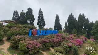 Download Lagu *Exploring Kalimpong's Hidden Gems: Science City, Deolo Park, Durpin dara Monastery \u0026 Nursery Tour\ MP3