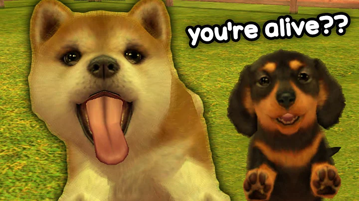 Checking up on my Nintendogs after 10 long years