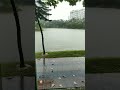 আমার সারাটা দিন মেখলা আকাশ, বৃষ্টি তোমাকে দিলাম | #rain #dhaka #bangladesh #mehedivlogs