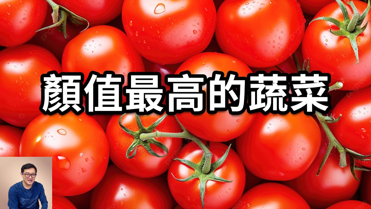 為什麼紅得很完美的番茄反而要警惕？高顏值是要付出代價的！聖女果是現代番茄的祖先嗎？番茄日常保存一定要注意這個……【老肉雜談】