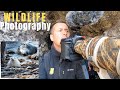 WILDLIFE PHOTOGRAPHY | ATLANTIC GREY SEAL & PUP | Canon 1DX Mark II & 600mm f/4 L IS