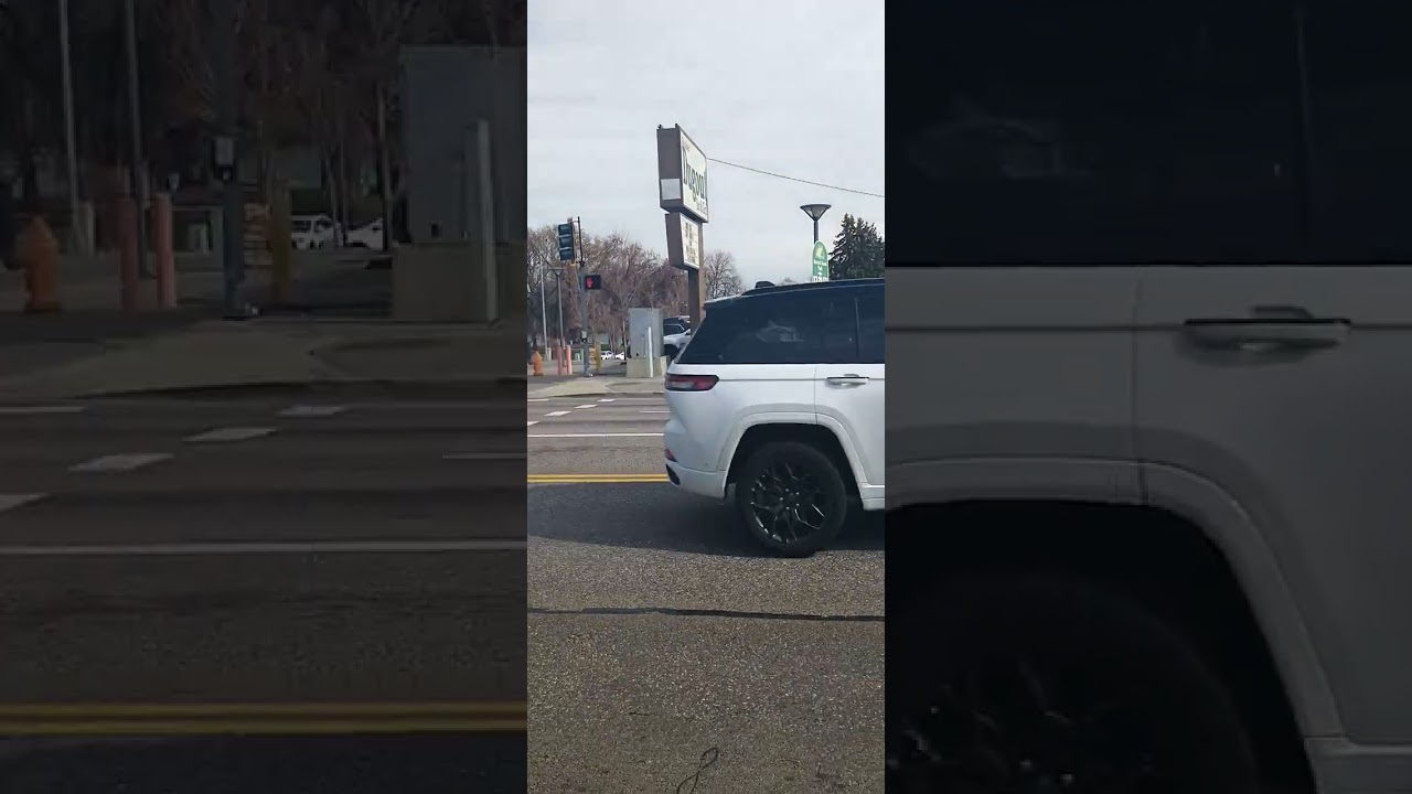 Audit, traffic stop, plus police interaction 