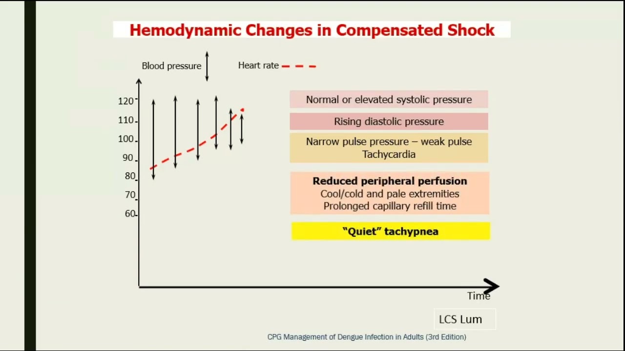 Dengue Management in ICU by Dr Chin Ji Zhang (Dengue Update 2025)