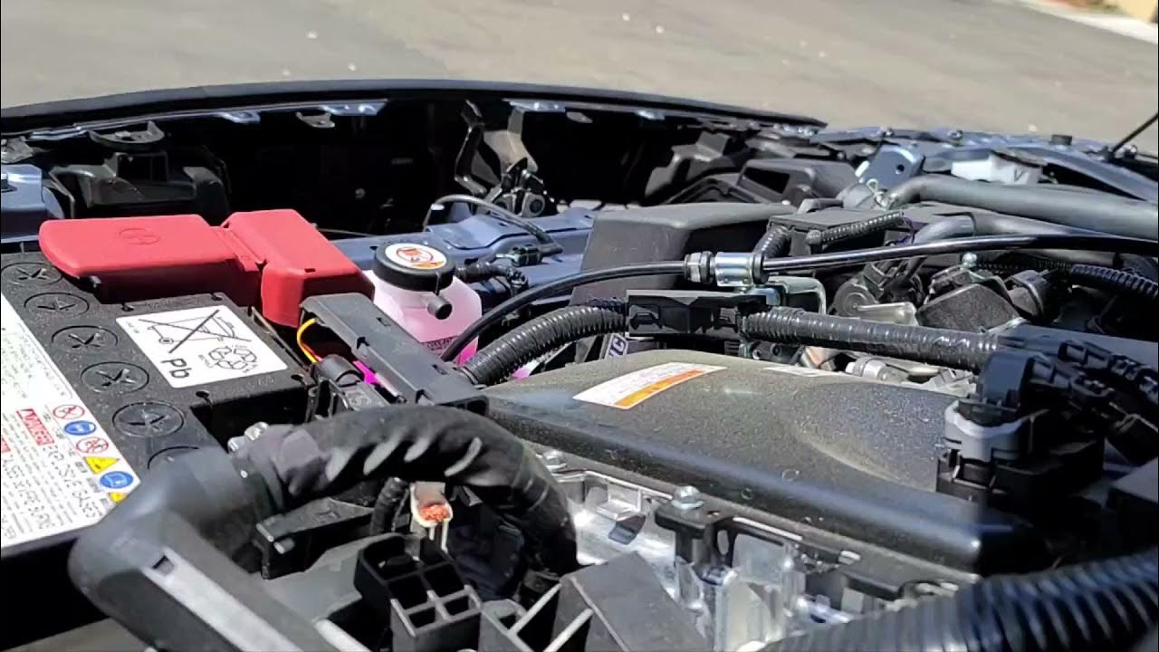 2021 Toyota Corolla Horn Upgrade - HELLA Horn Trumpet Before and After