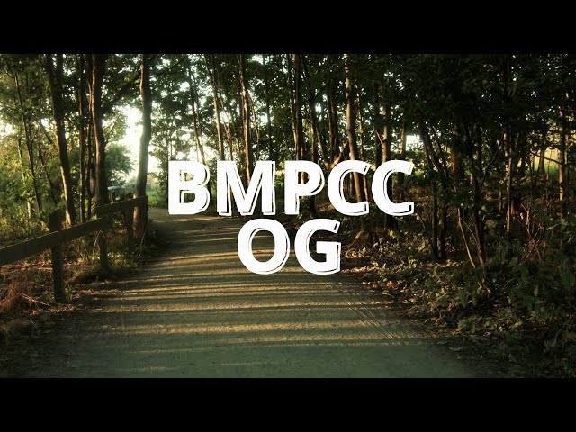 BMPCC OG & Panasonic 14-42mm 4K Handheld | Ahrenshoop | Blackmagic