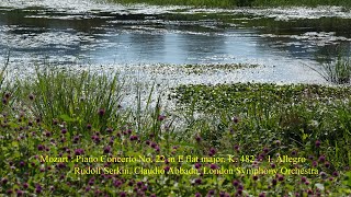 Mozart : Piano Concerto No. 22 in E flat major, K. 482 - I. Allegro