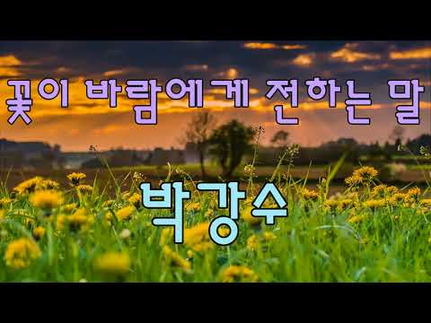 꽃이 바람에게 전하는 말 - 박강수(예민) / 10번 듣기 / 가사 / kpop