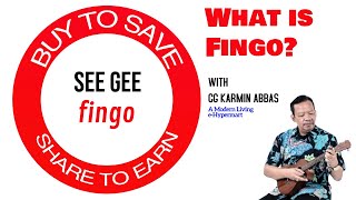 What is Fingo?