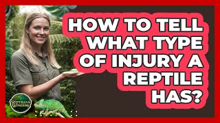 How To Tell What Type Of Injury A Reptile Has?