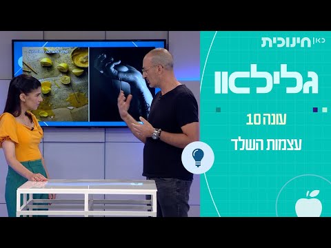 וִידֵאוֹ: עצמות שבורות בסוסים