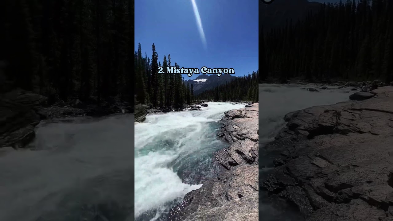 6 Stops You’ll REGRET Not Making on Icefields Parkway!