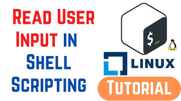 How do I read user input into a variable in Bash | Shell Scripting Tutorial for Beginners