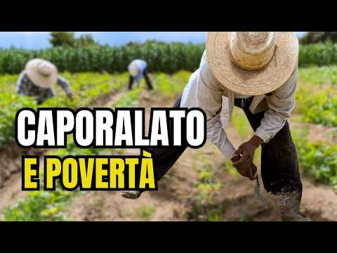Video Caporalato: La Nuova Schiavitù che genera Povertà. Intervista a Graziella Di Mambro
