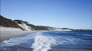 Plymouth White Cliffs Beach