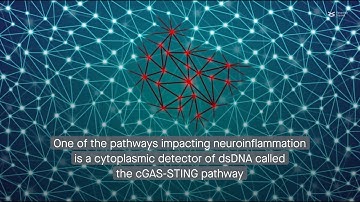 b874d872 a4b6 4669 81ab 788651704882