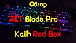 Обзор Zet Blade Pro Kailh Red Box
