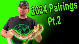 Celebrity 2024 Breeding Season Pairings (Ball Python) Profile