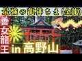 ⚠️高野山に鎮座する龍神さまは【全ての龍神の王様】善女龍王（ぜんにょりゅうおう）和歌山県パワースポット