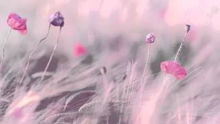 3 HOURS Best Relaxing Music Romantic Piano