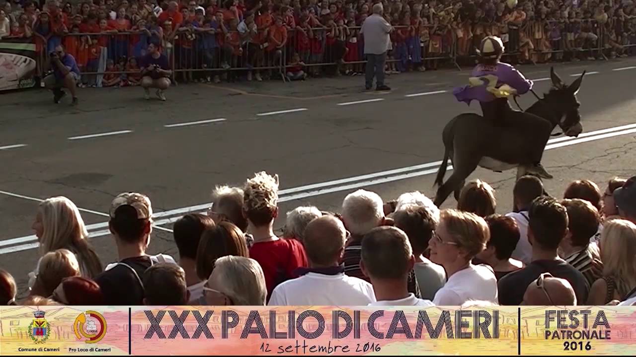 XXX PALIO DEGLI ASINI | CAMERI (NO) | 12 Settembre 2016