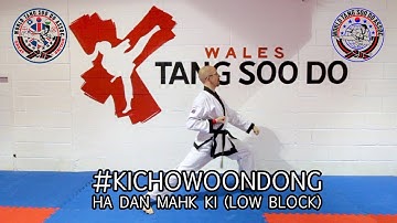 Ki Cho Woon Dong (WTSDA) Low Block Tutorial