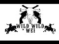 WILD WILD WEI / Teaser WEI Kiné Marseille 2016