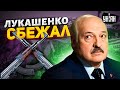 Побег Лукашенко! Хотелки Путина накрылись медным тазом. В Беларуси что-то назревает