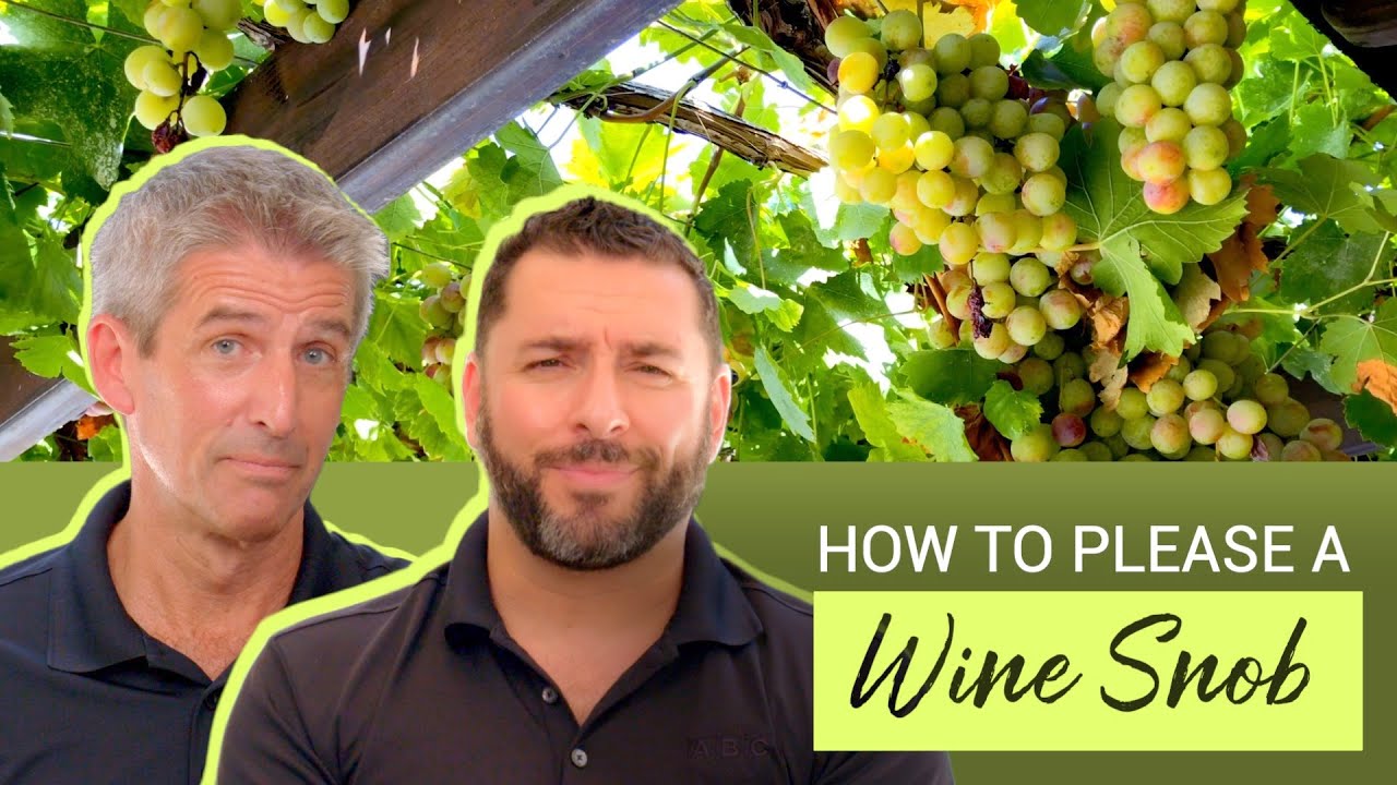 What to Serve Picky Wine Drinkers YouTube