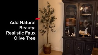 Realistic or Fake | Best Budget Friendly Faux Olive Tree Review