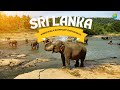 Srilanka Vlog Episode 1 | Chennai to Sri Lanka I Budget Tour I இலங்கை சுற்றுலா | Mrs_Mr_Vennamavas