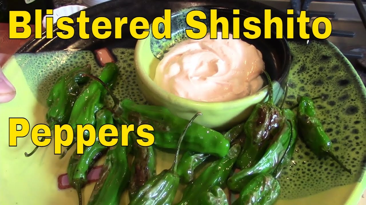 Blistered Shishito Peppers Easy Keto Recipes YouTube