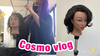 COSMETOLOGY SCHOOL VLOG 2020: SILK PRESS, DOING GUEST, HAIR CUTS!