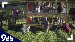 Celebrity Proposed bill seeks to end exploitation of Colorado farmworkers Profile