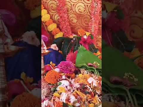 seetharamula kalyanam🙏🏻