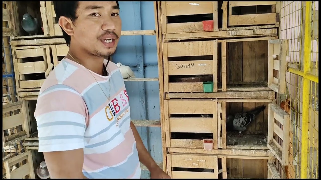 usapang ibon part II 🐦🐦 // ASTROBOY GEORGE CAYABYAB