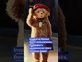 🎭 Paddington Bear's Broadway Adventure Begins!