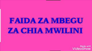 Ijue faida ya mbegu za chia