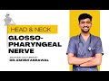 Glossopharyngeal Nerve || Head And Neck Anatomy || First Year MBBS || Anatomy Lectures by Ashish