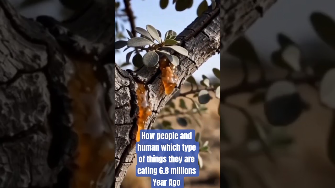 Life 6.8 millions years Ago./How people survived on diet.